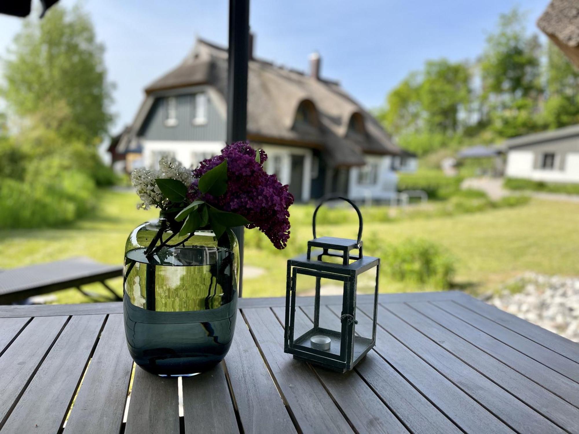 Ferienhaus Strandflieder 05 Feriendorf Klein Stresow Ruegen By Ruyastay Putbus Eksteriør billede