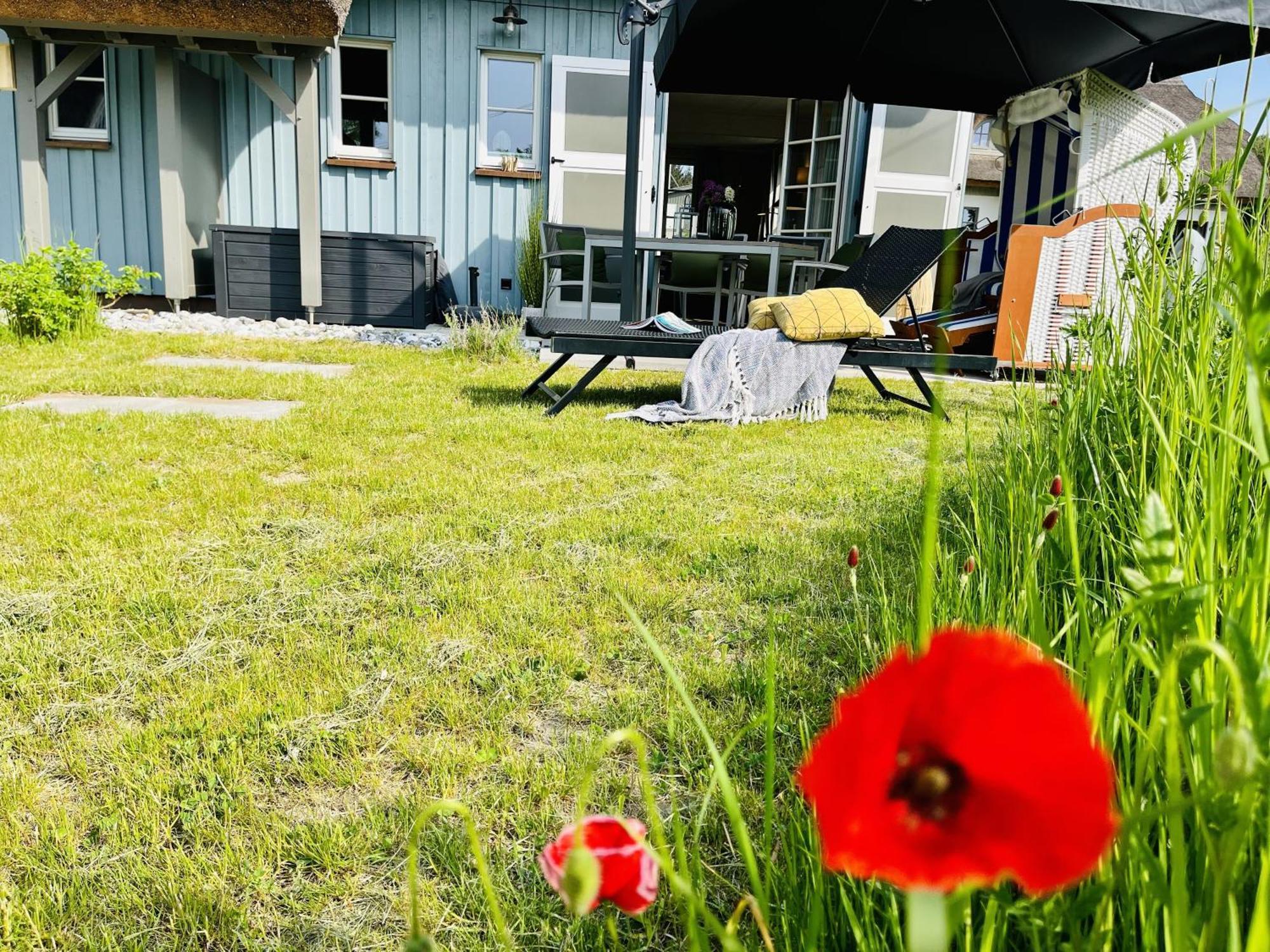 Ferienhaus Strandflieder 05 Feriendorf Klein Stresow Ruegen By Ruyastay Putbus Eksteriør billede