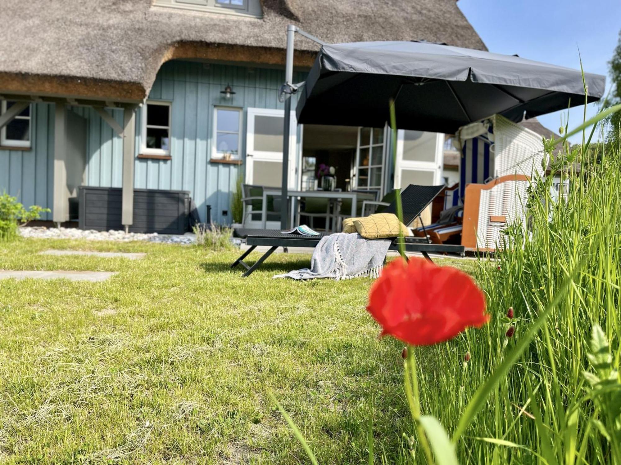 Ferienhaus Strandflieder 05 Feriendorf Klein Stresow Ruegen By Ruyastay Putbus Eksteriør billede